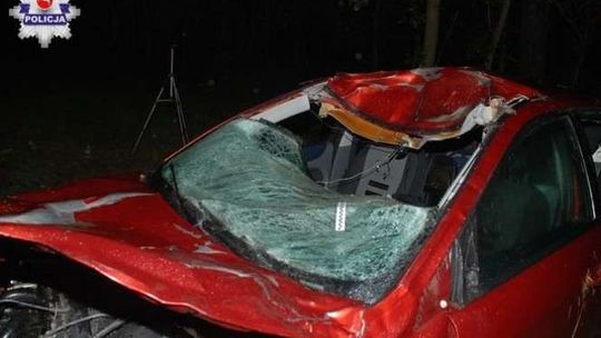 Łoś wbiegł pod koła. Samochód zderzył się z nim, a potem wpadł na drzewo