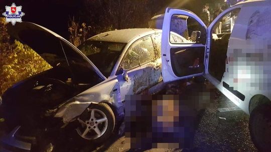 Łoś wtargnął na drogę i spowodował wypadek. Dwie ranne osoby trafiły do szpitala