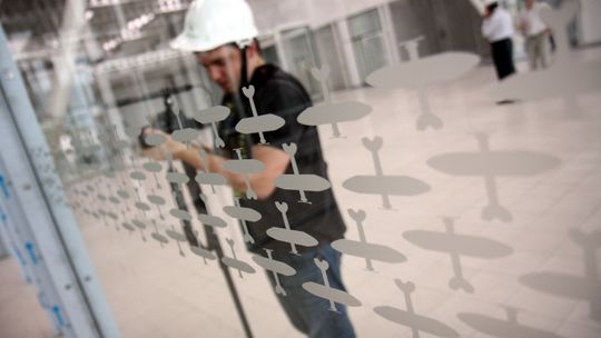 Lotnisko Lublin: Siedem kandydatur na patrona (zagłosuj)
