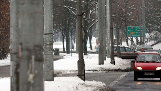 LSM: Będą cięli las ze stali i betonu 