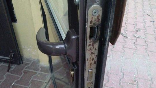 LSM: Zróbcie coś z tymi pluskwami! Mieszkańcy mają kłopot