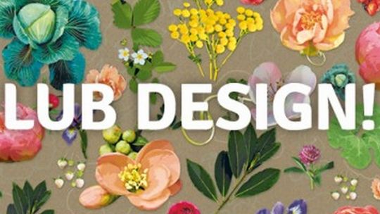 Lub design! Ogrodnictwo miejskie