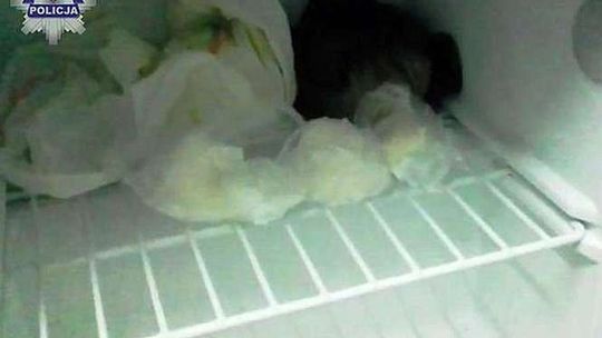 Lubartów: 1,3 kg narkotyków w garażu, dwie osoby zatrzymane