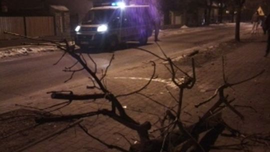 Lubartów: Audi wjechało w drzewo, kierowca chciał uciec