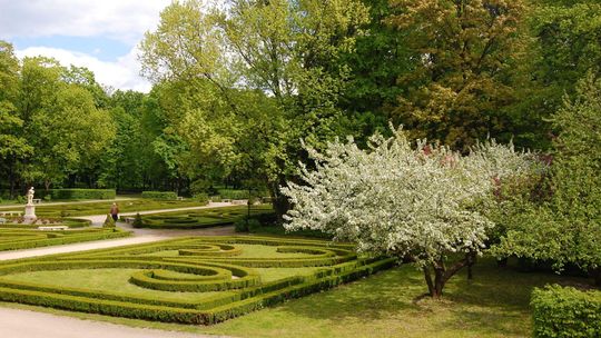 Lubartów: Będą odnawiać park. Chcą przy okazji "ograniczyć problem związany z bytowaniem ptaków"