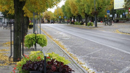 Lubartów chce być „zielonym miastem”. Tak ma się to stać
