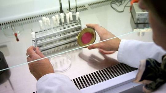 Lubartów, Łęczna: Jest grypa, nie ma odwiedzin w szpitalach