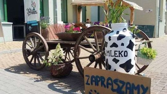 Lubartowska 77 w Lublinie: Ekologicznie i rodzinnie