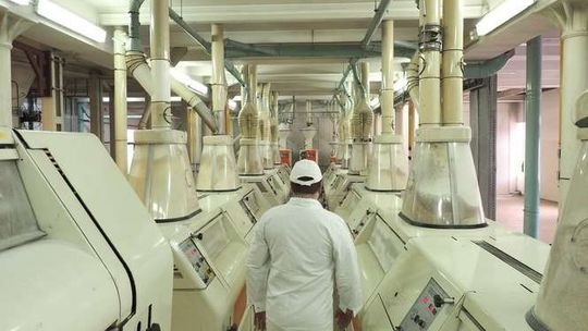 Lubella inwestuje i zatrudnia