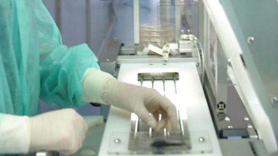 Lubelska BioMaxima sprzedaje swoje testy medyczne na całym świecie