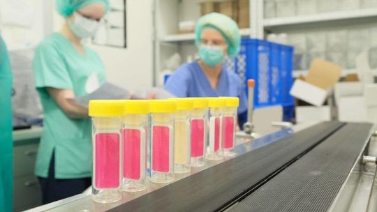 Lubelska BioMaxima zarejestrowała testy genetyczne do wykrywania koronawirusa