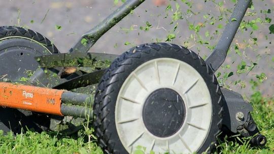 Lubelska radna prosi: Nie kośmy trawników. "Szczególnie w obliczu suszy"