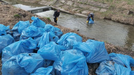 "Lubelska rafa butelkowa" znika. Wielkie sprzątanie Czerniejówki po naszej interwencji [zdjęcia]