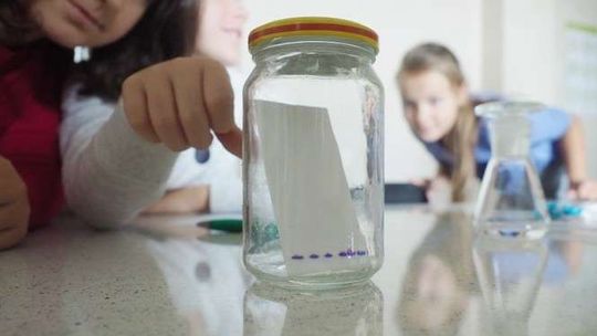 Lubelski Festiwal Nauki za nami. Podsumowanie