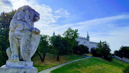 Lubelski Lew nie lubi glonów. Czeka go urzędowe czyszczenie