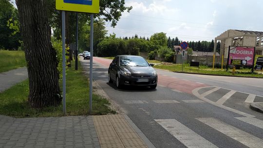 Lubelski radny prosi, a miasto wytnie drzewo. "Nie stanowi żadnej wartości estetycznej ani ekologicznej"