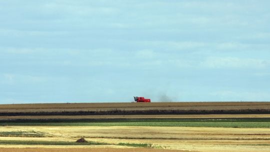 Lubelski rolnik głównie sadzi i sieje