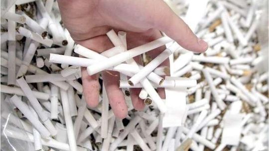 Lubelski tytoń pod lupą prokuratury. Wyprowadzali pieniądze, żeby nie płacić podatków?