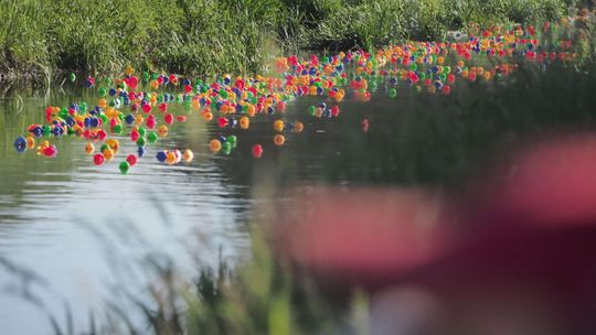 Lubelski Wyścig Kaczek. Kolorowe zawodniczki pomknęły rzeką [zdjęcia]