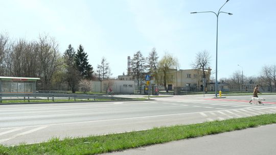 Lubelski żołnierz jak drwal. Ponad pół tysiąca drzew pod topór