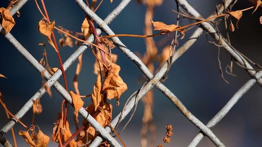 Lubelskie: 11-latek chwycił siatkę ogrodzeniową i poraził go prąd. Uratował go 17-letni Fabian