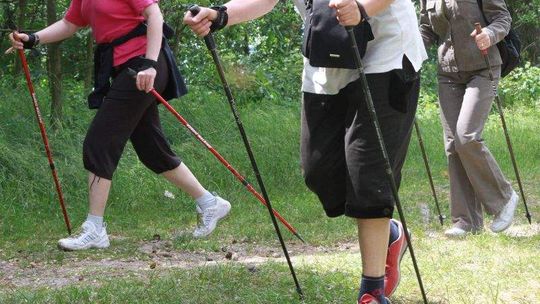 Lubelskie: 160 km oznakowanych szlaków nordic walking