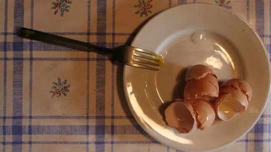 Lubelskie. 38-latek włamał się do hostelu. I usmażył sobie jajecznicę