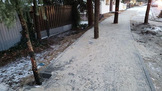 Lubelskie. "Absurd" i "partactwo". Drzewa zabetonowane w chodniku