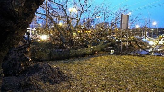 Lubelskie: Będzie wiało nawet 100 km/h. "Możliwe przerwy w dostawie prądu"
