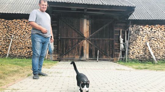 Lubelskie: Car dał chłopom przywileje w XIX wieku. Do dziś biorą drewno za darmo