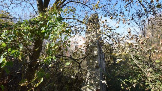 Lubelskie: Co warto zobaczyć w naszym regionie? Zaledwie parę kilometrów za Lublinem