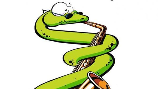 Lubelskie Dni Kultury Studenckiej 2013 - Medykalia