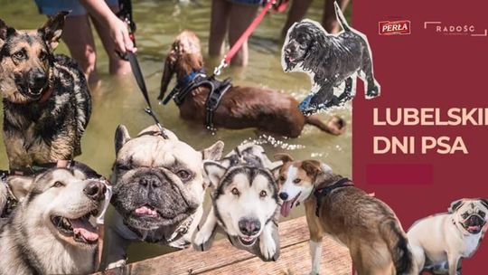 Lubelskie Dni Psa w Radości