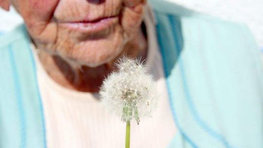 Lubelskie Dni Seniora już po świętach