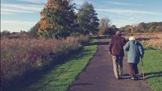 Lubelskie Dni Seniora: Koncerty, warsztaty, spotkania [program]