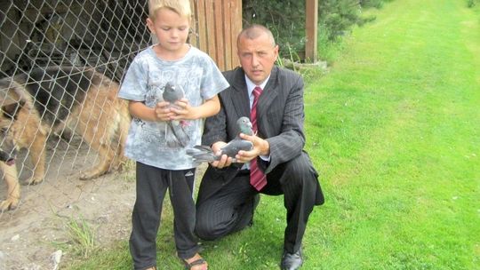 Lubelskie gołębie przyleciały z Londynu