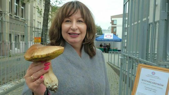 Lubelskie. Idziemy na grzyby. Ale ostrożnie…