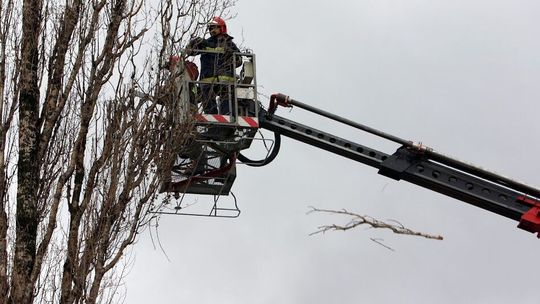 Lubelskie. IMGW ostrzega przed silnym wiatrem
