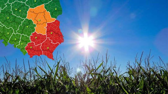 Lubelskie: IMGW ostrzega przed upałami