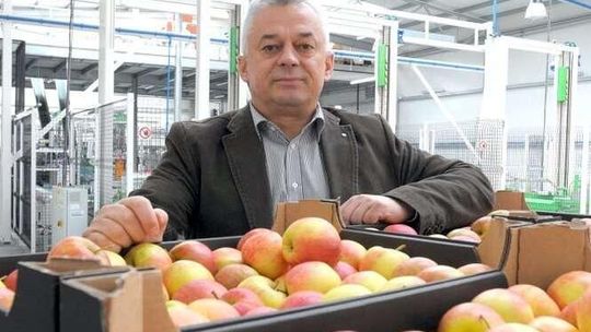 Lubelskie jabłka jedzą w Chinach. "Ale to nie zastąpi rynku rosyjskiego"