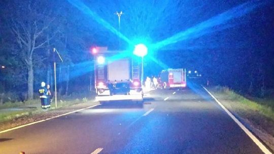 Lubelskie: Jechał razem z córką motocyklem i zderzył się z łosiem. Zginął, a dziewczynka jest ciężko ranna