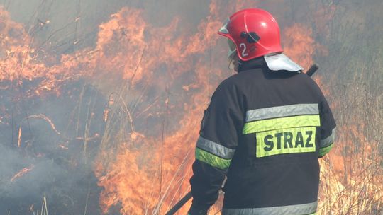 Lubelskie: Już prawie 600 wyjazdów do płonących traw. Podpalacze nie boją się kar