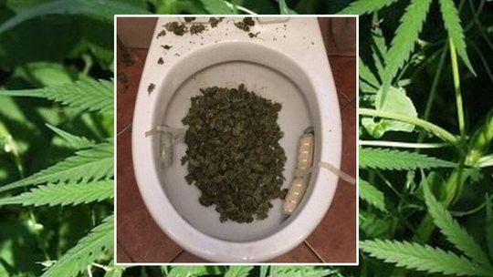 Lubelskie. Kiedy weszła policja pozbywał się marihuany, ale sedes nie dał rady