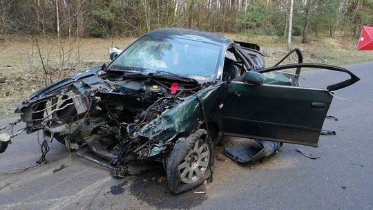 Lubelskie: Kierowca audi uderzył w drzewo. Z samochodu wyleciał nie tylko silnik 