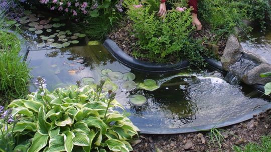 Lubelskie: Kobieta wpadła do oczka wodnego i utonęła