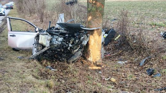 Lubelskie. Koszmarny wypadek. Nie żyje 19-latek, z nissana nic nie zostało. Zdjęcia