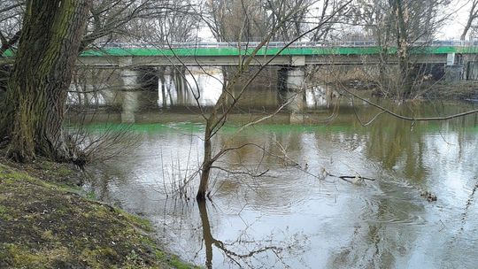 Lubelskie: Ktoś wytruł życie w rzece. "Niebezpieczeństwo zatrucia poławianymi rybami"