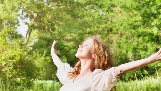 Lubelskie Lato 2013. Targi w Wierzchowiskach (program)