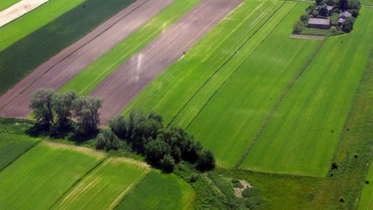 Lubelskie. Mekka smaków. Co i gdzie zobaczyć?
