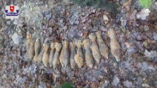 Lubelskie: Mężczyzna zauważył w lesie wystające z ziemi granaty moździerzowe